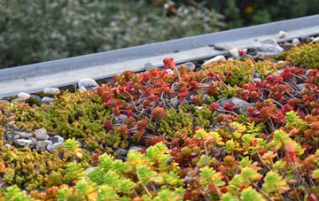 the cost of Sandway green roof installation