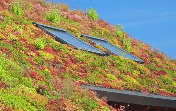 Sandway living roof systems